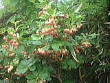 TThE_